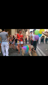 Pride Bologna Screenshot_2016-06-29-23-09-14